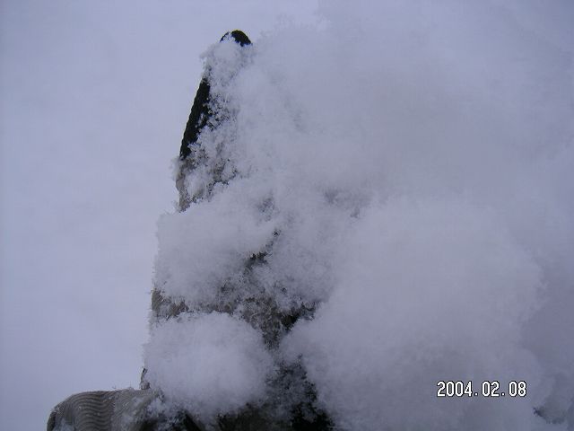 s_PICT0026.jpg